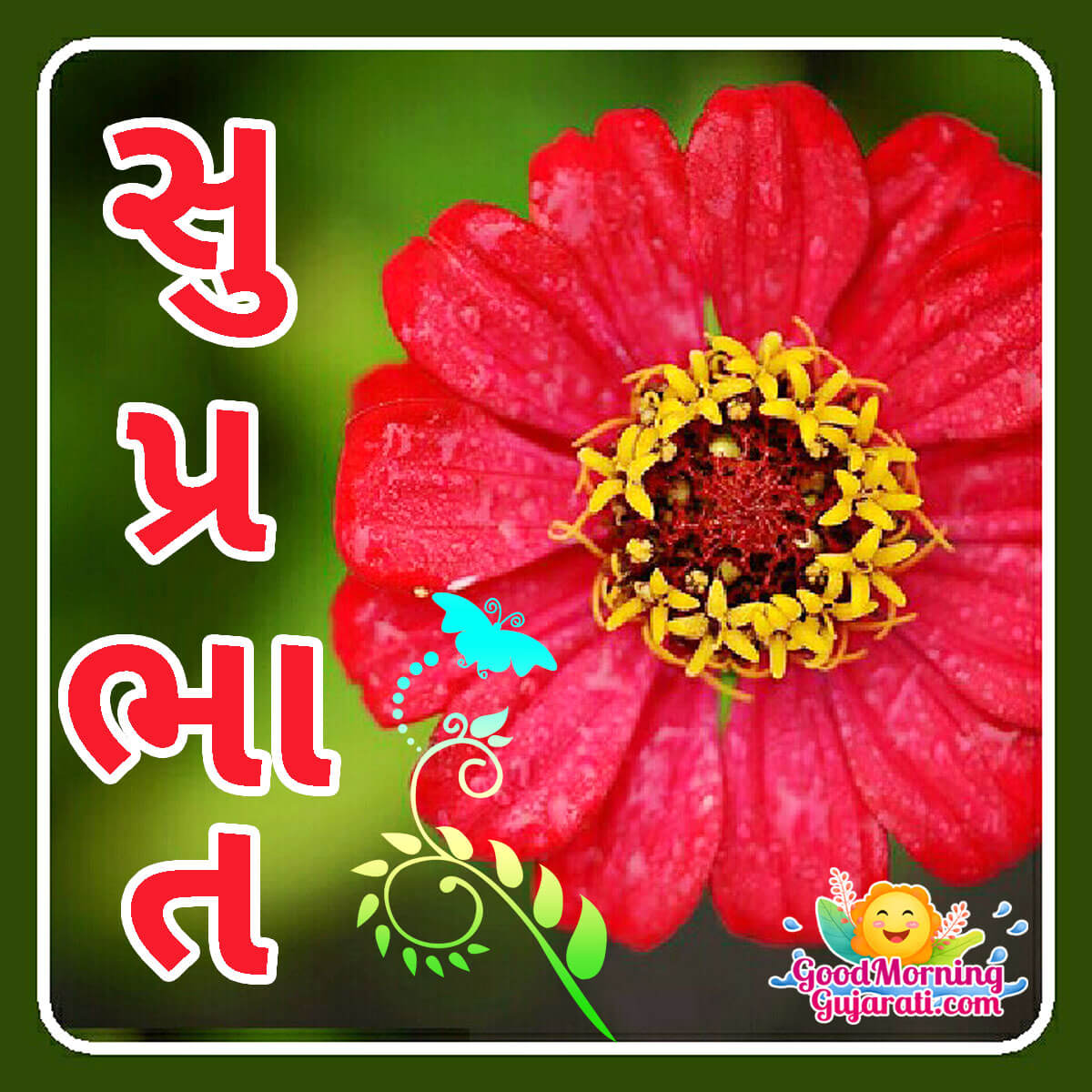 Suprabhat Flower